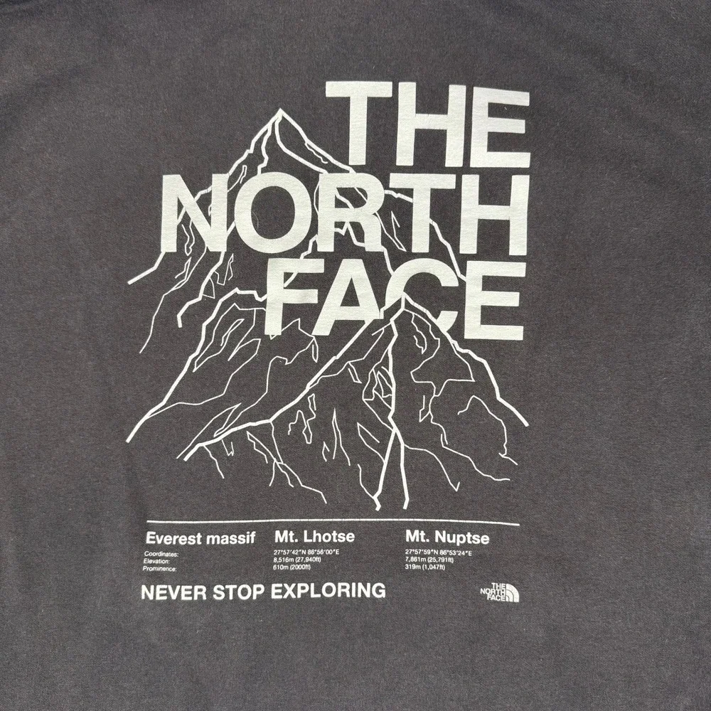 The North Face Mens Evolution Half Dome Graphic Drawstring Hoodie Size XXL